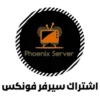 نبذه تعريفية عن اشتراك سيرفر فونكس Phoenix Server